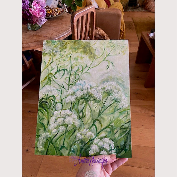 clemency is a small original oil paining of wild cow parsley with white flowers and green leaves of wild meadow flowers by Anita Nowinska