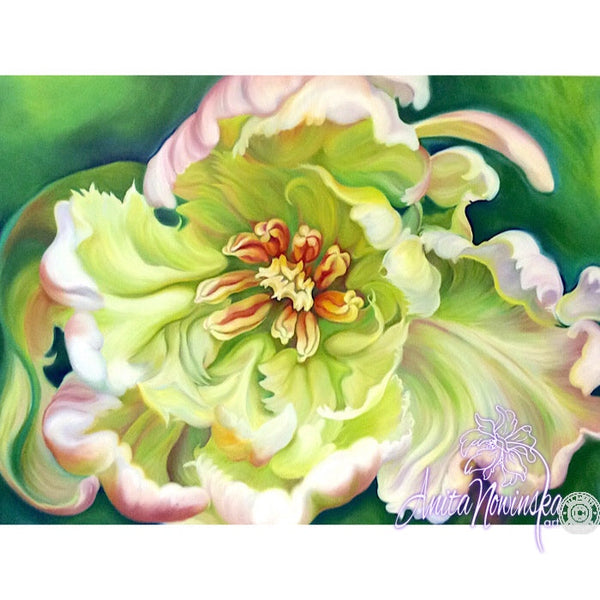 intrigue- cream parrot tulip big flower painting by Anita Nowinska