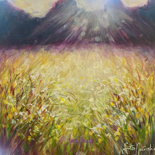 Small oil on canvas meadow painting with grasses wild flowers & dapped sunlight by Anita Nowinska.jpg