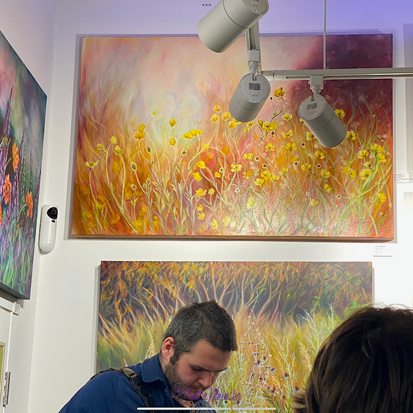 anita nowinska wild flower meadow paintings at libertaion gallery brighton