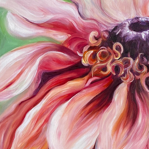 comfort is a 50x50cm 20" oil on panel big flower painting of a peach Rudbeckia on a soft sage green background by anita Nowinska