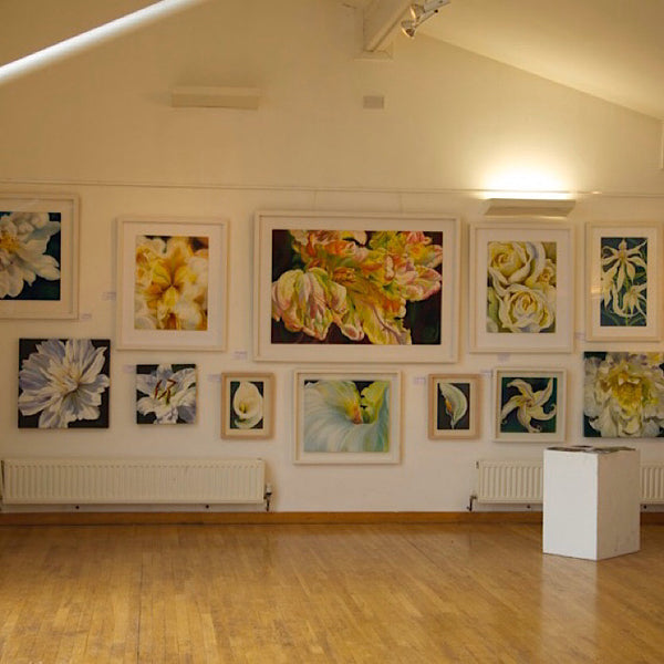 SHOWS & EXHIBITIONS