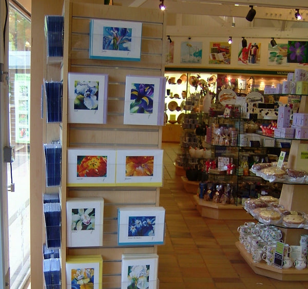 SHOWS & EXHIBITIONS