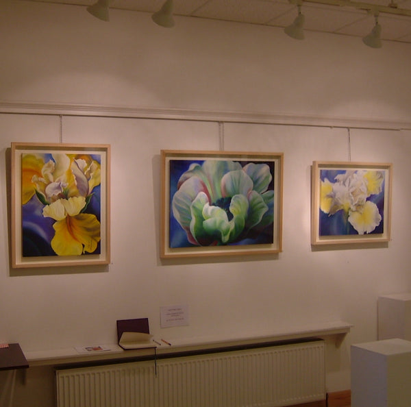 SHOWS & EXHIBITIONS