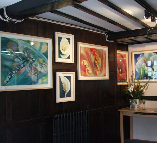 SHOWS & EXHIBITIONS
