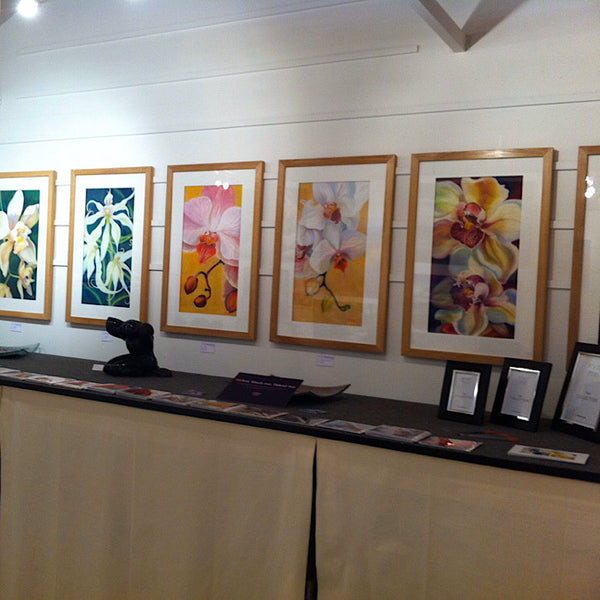 SHOWS & EXHIBITIONS