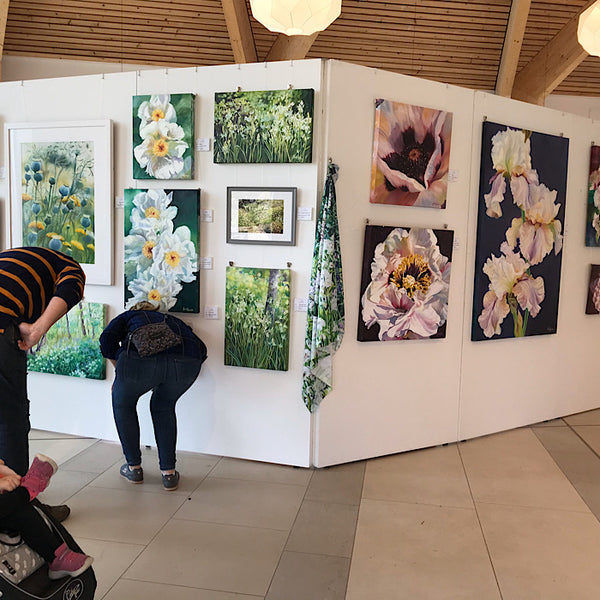 SHOWS & EXHIBITIONS