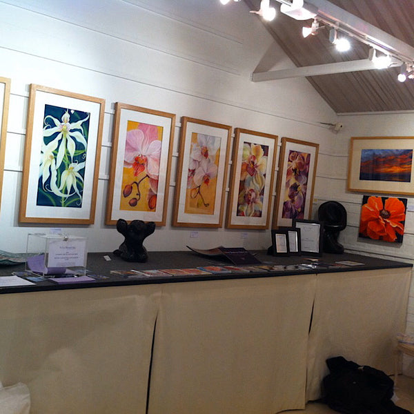 SHOWS & EXHIBITIONS