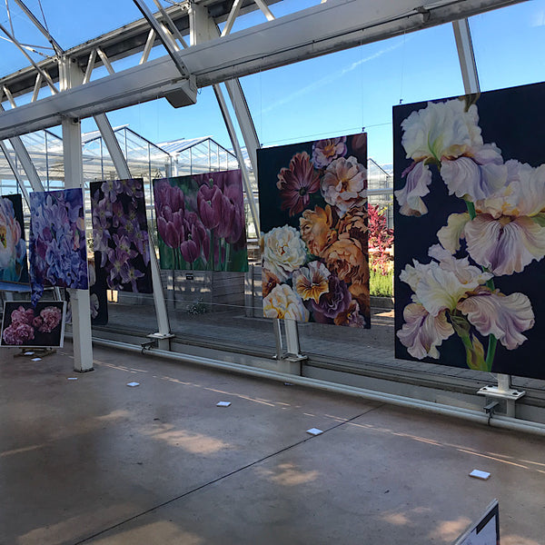SHOWS & EXHIBITIONS