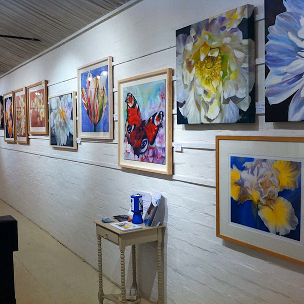 SHOWS & EXHIBITIONS