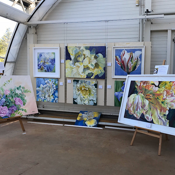 SHOWS & EXHIBITIONS