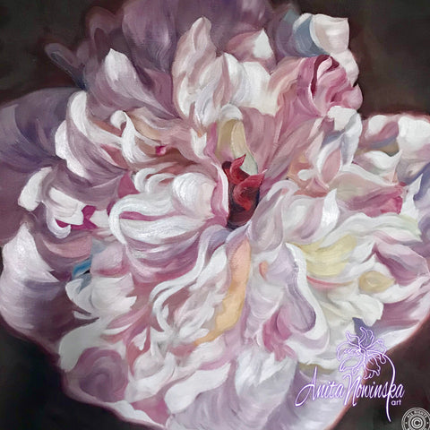 Gentle white & pink peony flower painting in oil paints, of peony in full bloom by Anita Nowinska