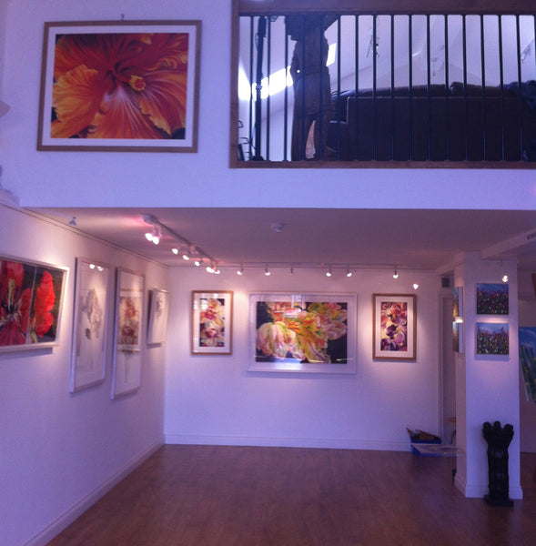 SHOWS & EXHIBITIONS