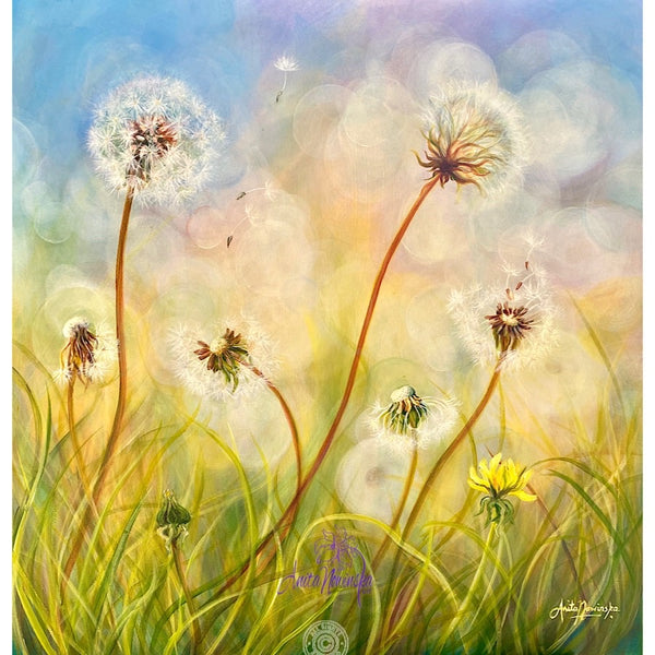 dandelion clocks meadow painting by anita nowinska