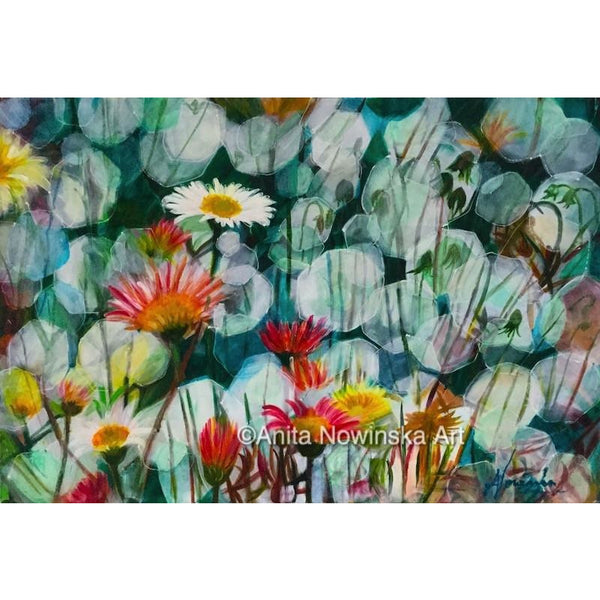 dappled daisie, daisy flower painting, anita nowinska