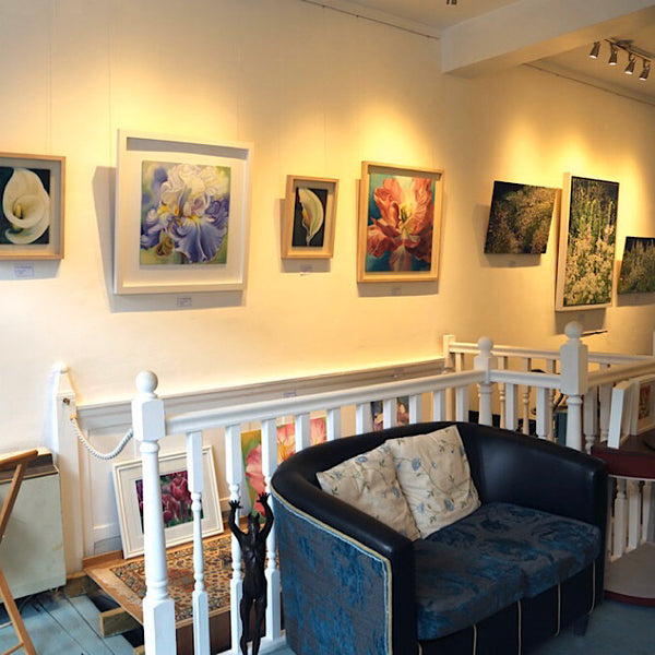 SHOWS & EXHIBITIONS