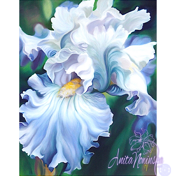 Romancer - Pale Blue Iris Flower Painting