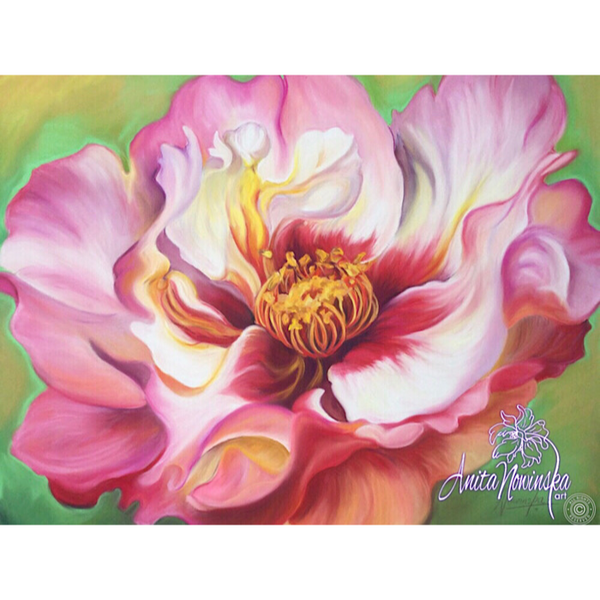 'Love' Dog Rose Big Flower Painting in Pink, Red, White by Anita Nowinska