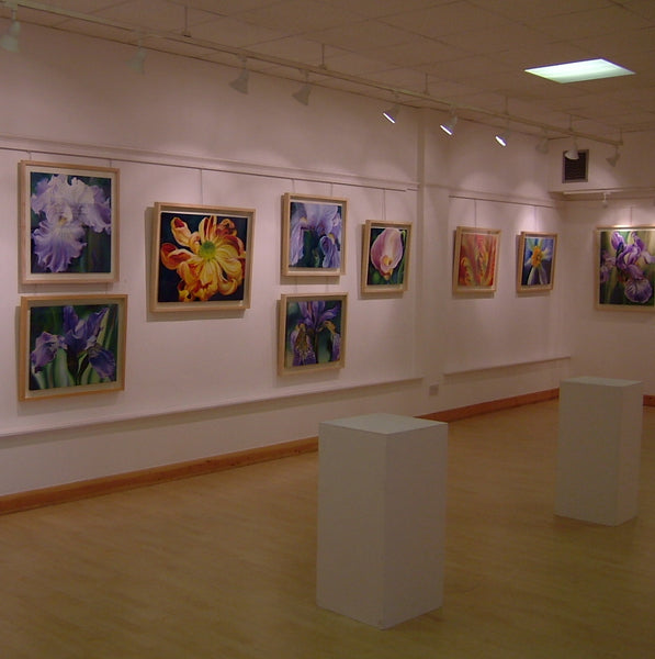 SHOWS & EXHIBITIONS