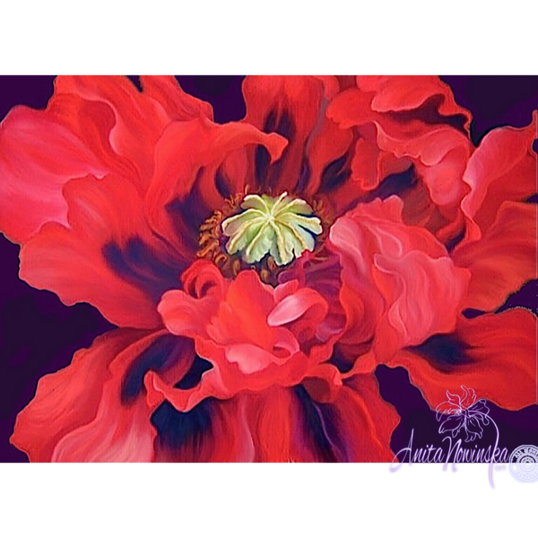 red oriental poppy big flower painting by anita nowinska