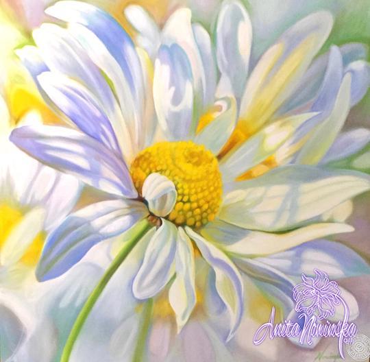 big flower painting of ox eye daisy by Anita Nowinska