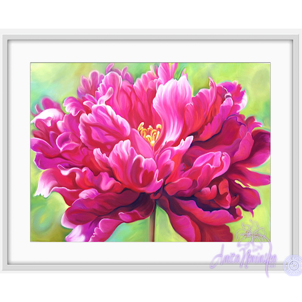 Confidence- Cerise Peony Flower Painting