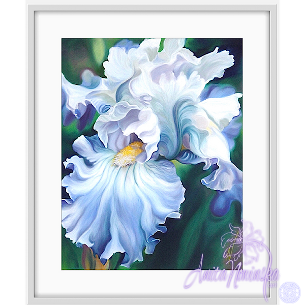 Romancer - Pale Blue Iris Flower Painting