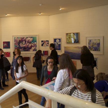 SHOWS & EXHIBITIONS
