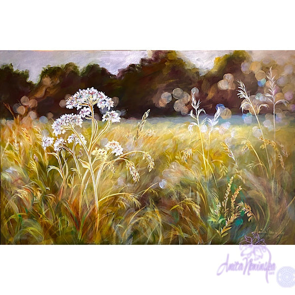 golden sunlit meadow with grasses & cowparsley, meadow painting by Anita Nowinska. Gold, ochre,green