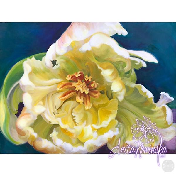 intrigue- cream parrot tulip big flower painting by Anita Nowinska
