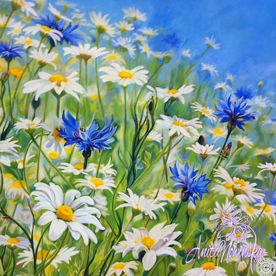 meadow flower painting with daisies & cornflowers Anita Nowinska