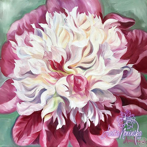 pink & white peony on soft green flower painting by Anita nowinska