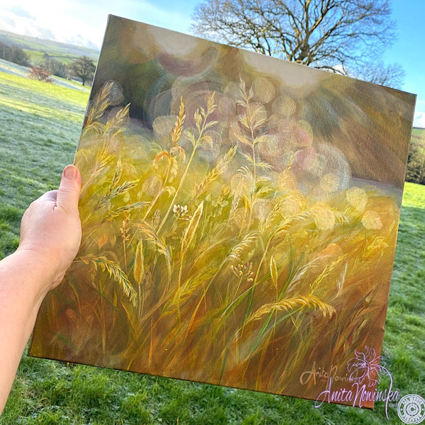 small acrylic canvas painting of golden grasses & seedheads in bright dappled sunlight by anita nowinska