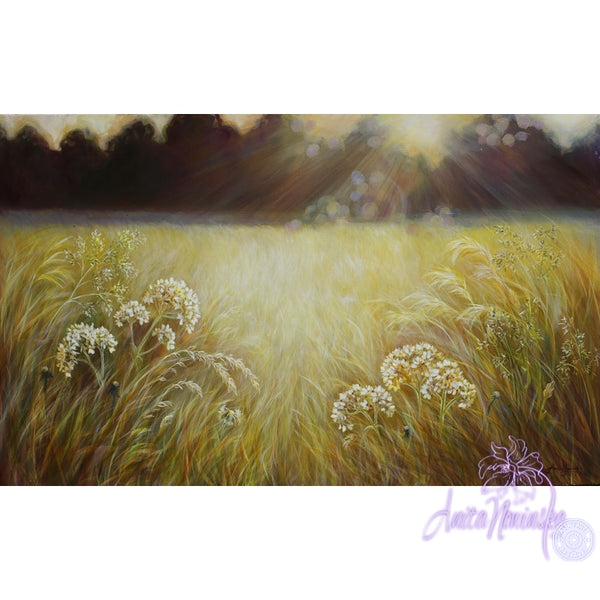 'Stillness' -Golden Wild Flower Meadow Painting- Canvas
