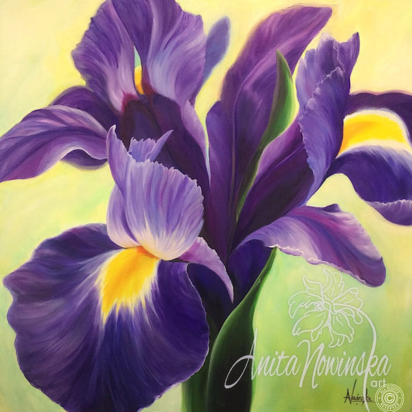 A Deep purple iris with flash of yellow in an oil on canvas flower painting by Anita. 