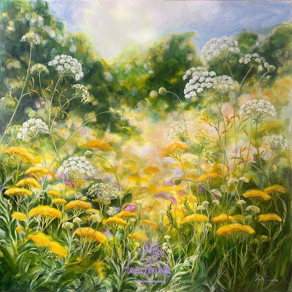 Beyond- Large oil painting o cow parsley & golden yarrow in a wild flower meadow by anita nowinska.JPEG
