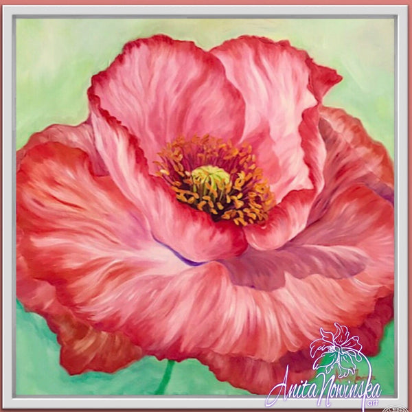 'Papaver- Coral Poppy Flower Painting