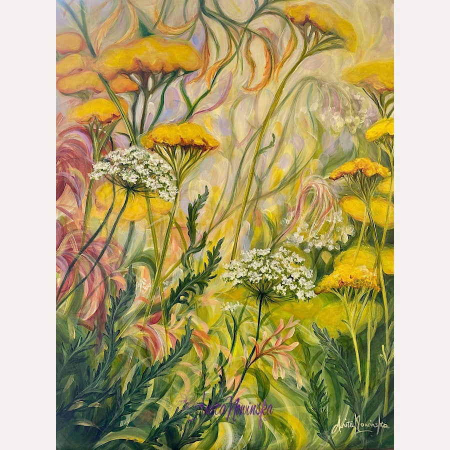 Grounding is a small flower painting of a wild flower garden border with yellow achillea white cow parsley & green fronds by Anita Nowinska.JPEG