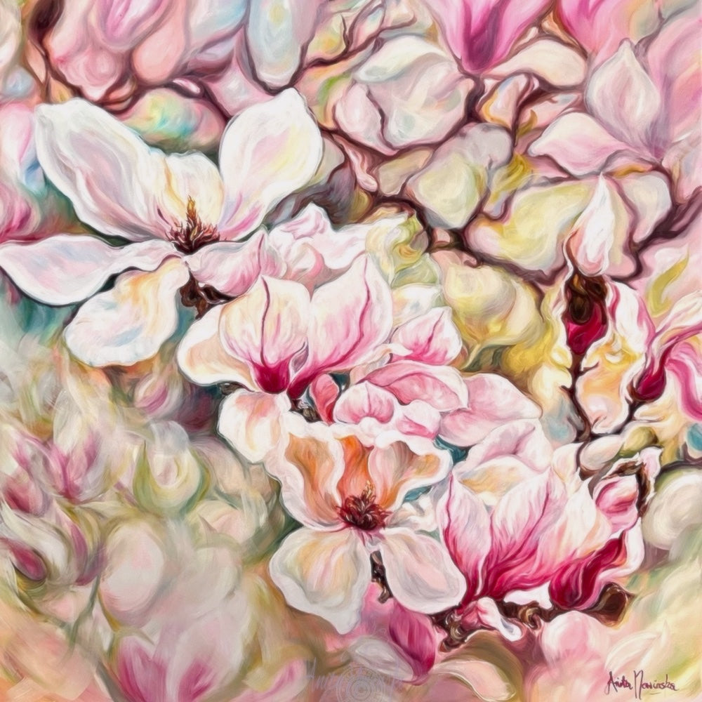 Hanakatoba- big flower painting of magnolias in pink cream & white by anita nowinska