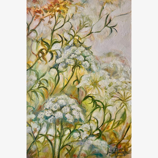 Intuity-Wild Carota flower Meadow Painting of cow parsley gently lit by golden sunlight by anita nowinska.JPEG