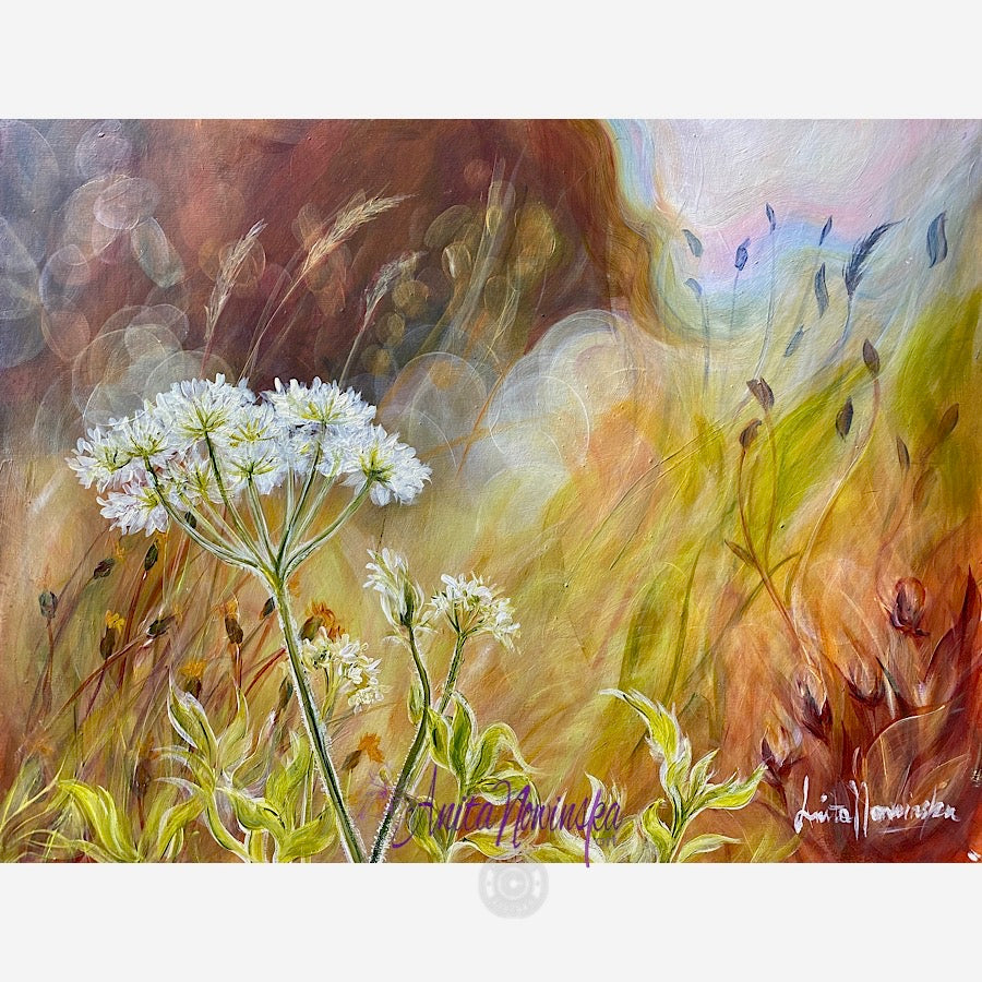 'Restraint' is a small wild flower meadow painting of wild carrot in golden light by anita nowinska.JPEG