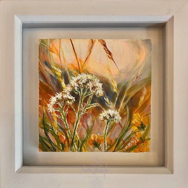 miniature oil painting of cow parsley flowers in a sunlit meadow
