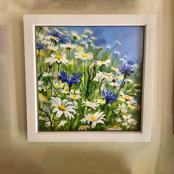 framed print of daisy and cornflower meadow by anita nowinska