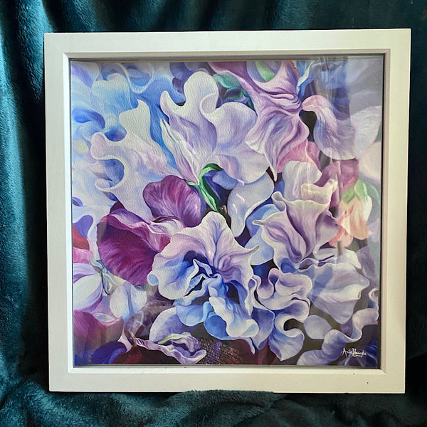 framed print of lilac and purple sweet pea flower painting by anita nowinska