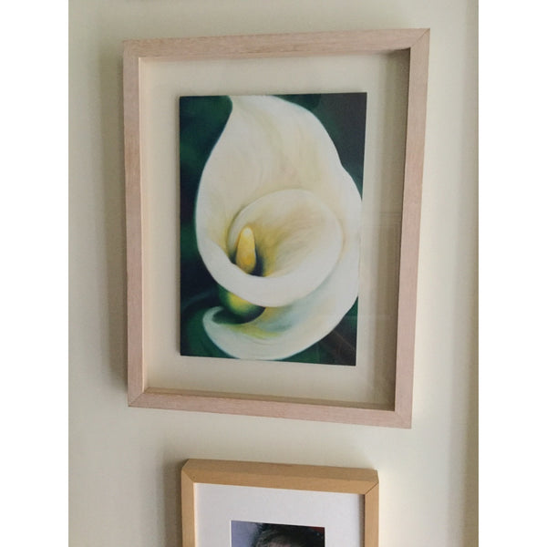 White calla lily flower painting, original framed pastel