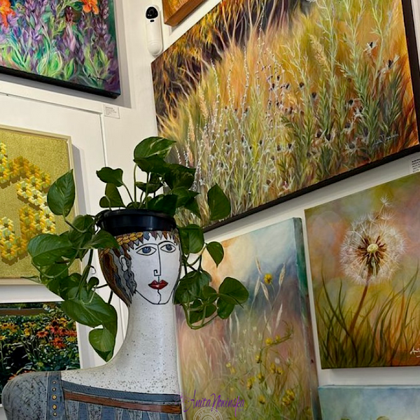 anita nowinska wild flower meadow paintings at libertaion gallery brighton