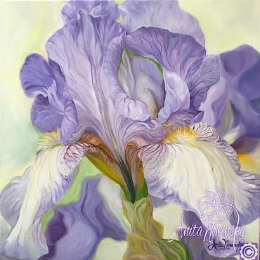 Patience- Lilac Iris Flower Painting