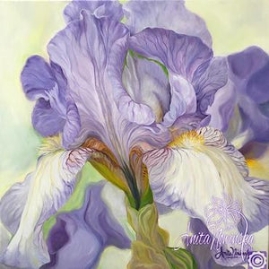 Patience- Lilac Iris Flower Painting