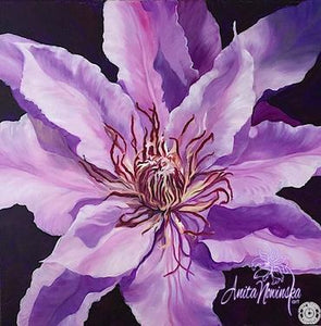 oil on canvas flower painting of purple clematis by anita Nowinska