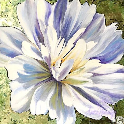 Starburst- White Cosmos Flower Painting